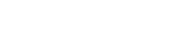 SynapseBN logo