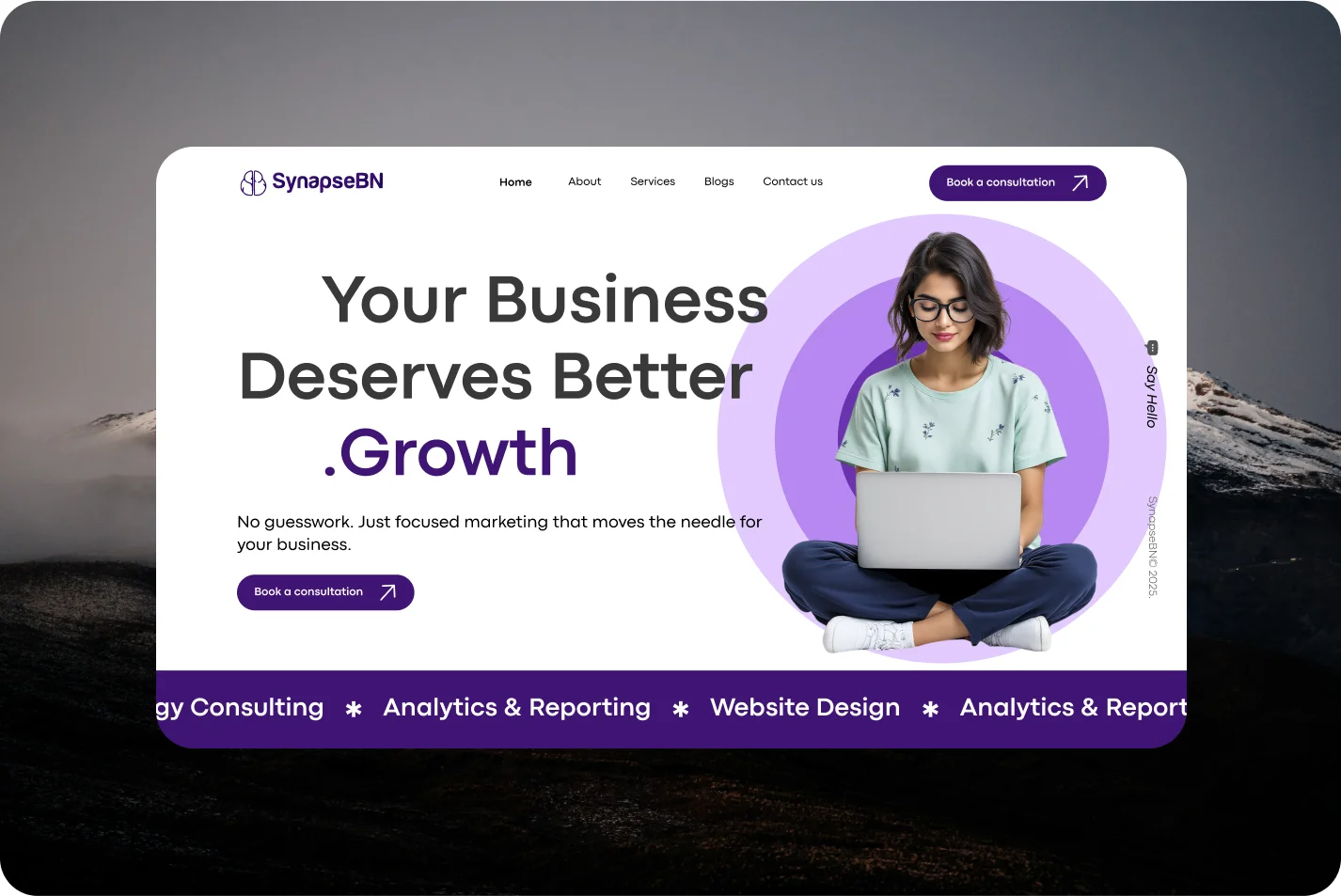 SynapseBN website